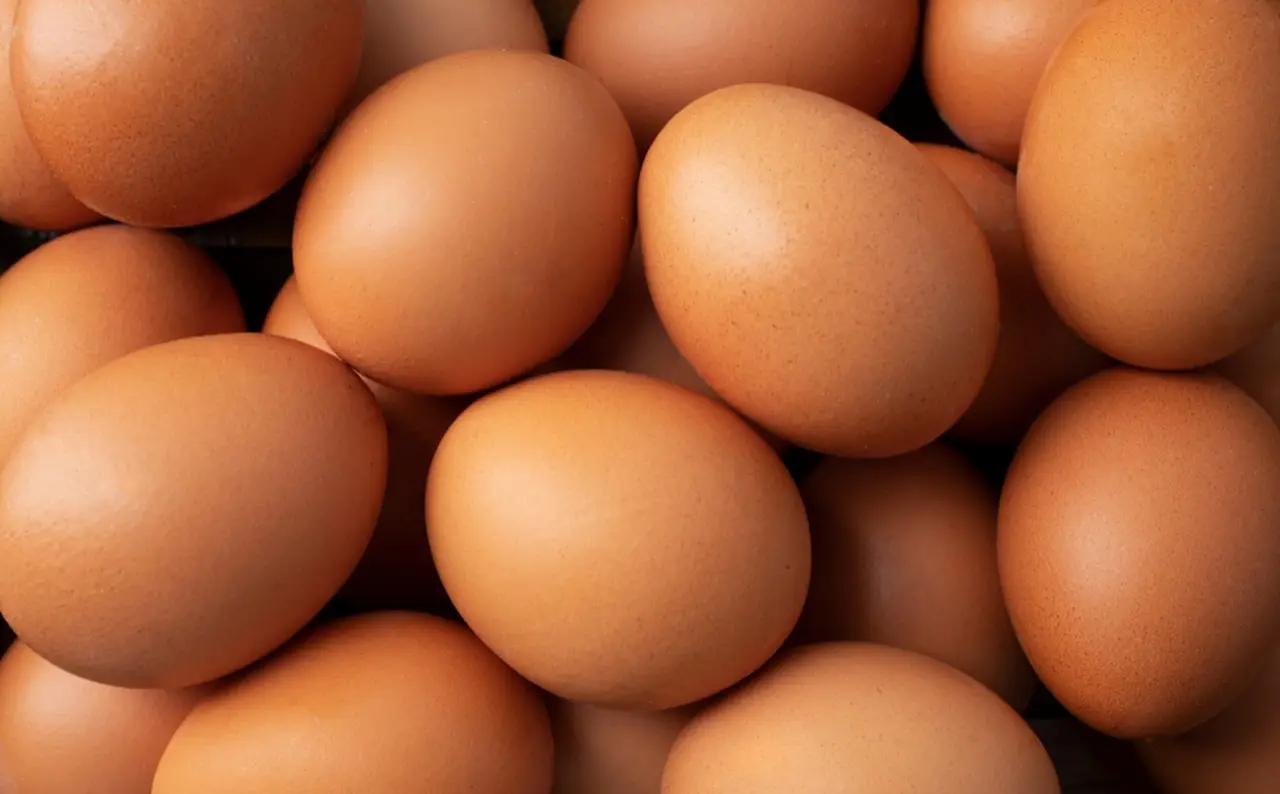 Stai sbagliando tutto, ecco dove devi conservare le uova (e non è nello sportello)